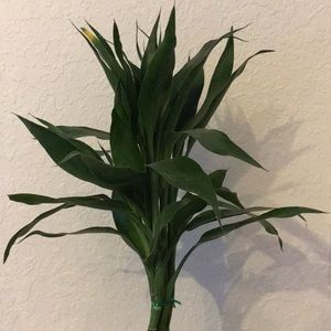 Meet your Posher, Jeanne